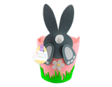 Easter Pom Pom Bunny Basket (Assorted)