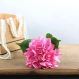 Essential Pink Arundel Hydrangea (34cm)
