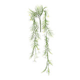 UV Exterior White Cosmos Bush (72cm)