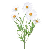 White Daisy Spray (66cm)