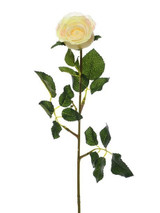 Cream Precious Rose Bud (59cm)