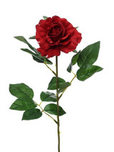 Red Premium Rose Medium (69cm)