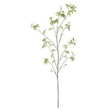 Acer Leaf Spray (172cm)