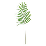 Green Mascarena Leaf Spray (82cm)