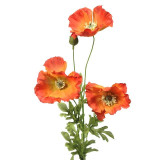 Orange Poppy 3 Heads/2 Buds (74cm)