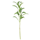 Eucalyptus Spray (59cm)