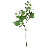 Single Hedera (54cm)