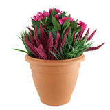 Pink Impatiens & Heather Patio Planter