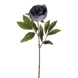 Light Grey Amelia Peony Stem (63cm)