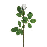 Premium White Rose Bud (68cm)