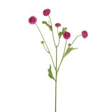 Pink Aster Spray (64cm)