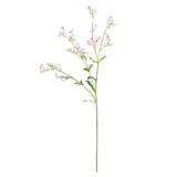 Pink Forget-Me-Not Spray (76cm)