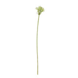 Green Agapanthus Stem (77cm)