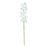 Cream Dendrobium Orchid Spray (72cm)