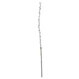 Natural Single Pussy Willow (89cm)