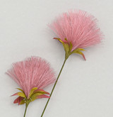 Pink Pom Pom Spray (72cm)