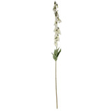 Digitalis Spray Cream (107cm)
