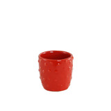 Red Fruit Face Plant Pot