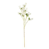 Mini Peach Blossom Cream (87cm)