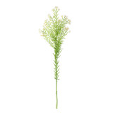 Waxflower Flower Cream (68cm)