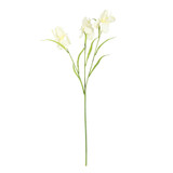 Yellow Iris Spray (60cm)