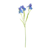 Blue Iris Spray (60cm)