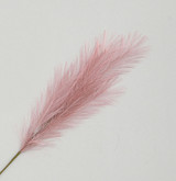 Pink Reed Pampas Grass (96cm)