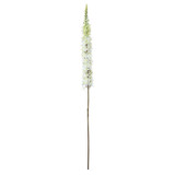 Cream Single Foxtail Lily (109cm)