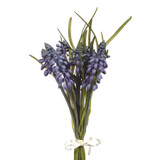 Blue Muscari Bundle (25cm)