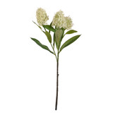 Cream Artificial Skimmia Spray (60cm)