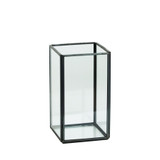 Clear Framed Glass Vase (13.5cm)