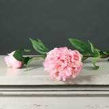 Tintagel Spray Peony Pink