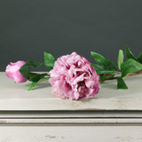 Tintagel Spray Peony Pink (70cm) 