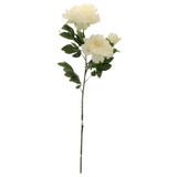 Three Peony  Cream 82cm