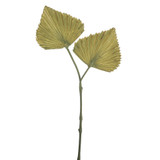 Green Fan Palm (39cm)