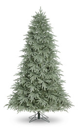 Timberline Pine Tree (1152 Tips) (6ft)