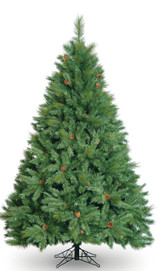 Boston Pine Tree (4ft)