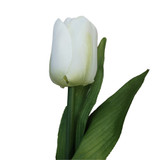 Cream Tulip with Leaves (28")