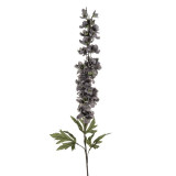 Delphinium Grey (90cm)