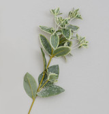 Green Variegated Frosted Leaf Spray (68cm)