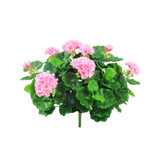 Pink Geranium Bush