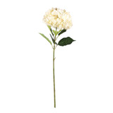 Cream/Pink Giant Hydrangea (92cm)