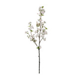 Botanica White & Pink Cherry Blossom (113cm)