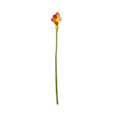Botanica Mango Calla Lily (60cm)