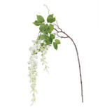 Botanica White Wisteria Sinensis (144cm)