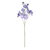 Botanica Dark Blue Sweetpea (73cm)