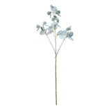 Botanica Blue Sweetpea (73cm)