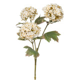 Balmoral  Cream Viburnum Spray (82cm)