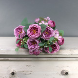 Tintagel Vintage English Rose Bush Purple