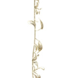 Champagne Sophora Decorative Garland (229cm)